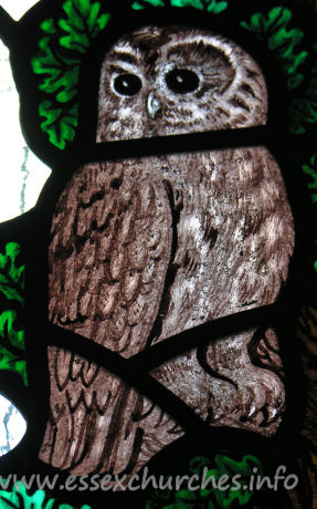 All Saints, Nazeing Church - Detail from Peter Cormack glass, showing an owl.