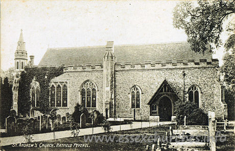 St Andrew, Hatfield Peverel Church - 


J. P. Green, Chelmsford.










