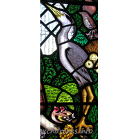 All Saints, Nazeing Church - Detail from Peter Cormack glass, showing heron.